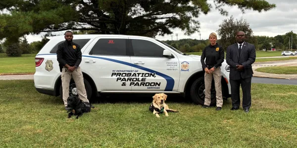 Three agents standing beside a SUV with a black labrador and a yellow labrador laying in the grass.